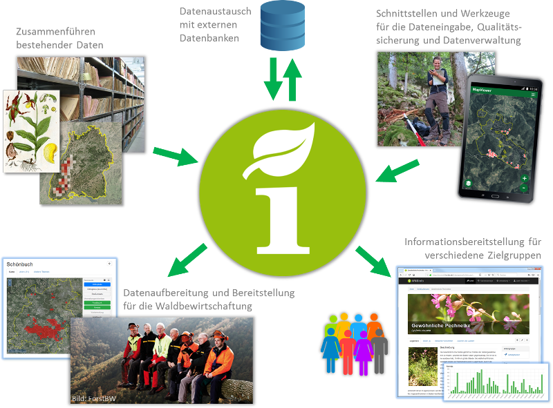 Waldnaturschutz-Informationssystem