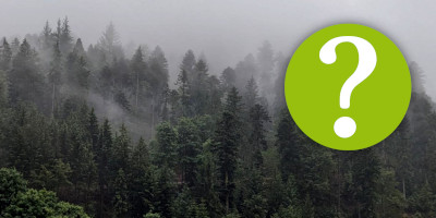 Häufig gestellte Fragen